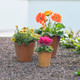 Napa Round Planter, Rust, 16-Inch Napa Round Planter, Rust, 16-Inch
